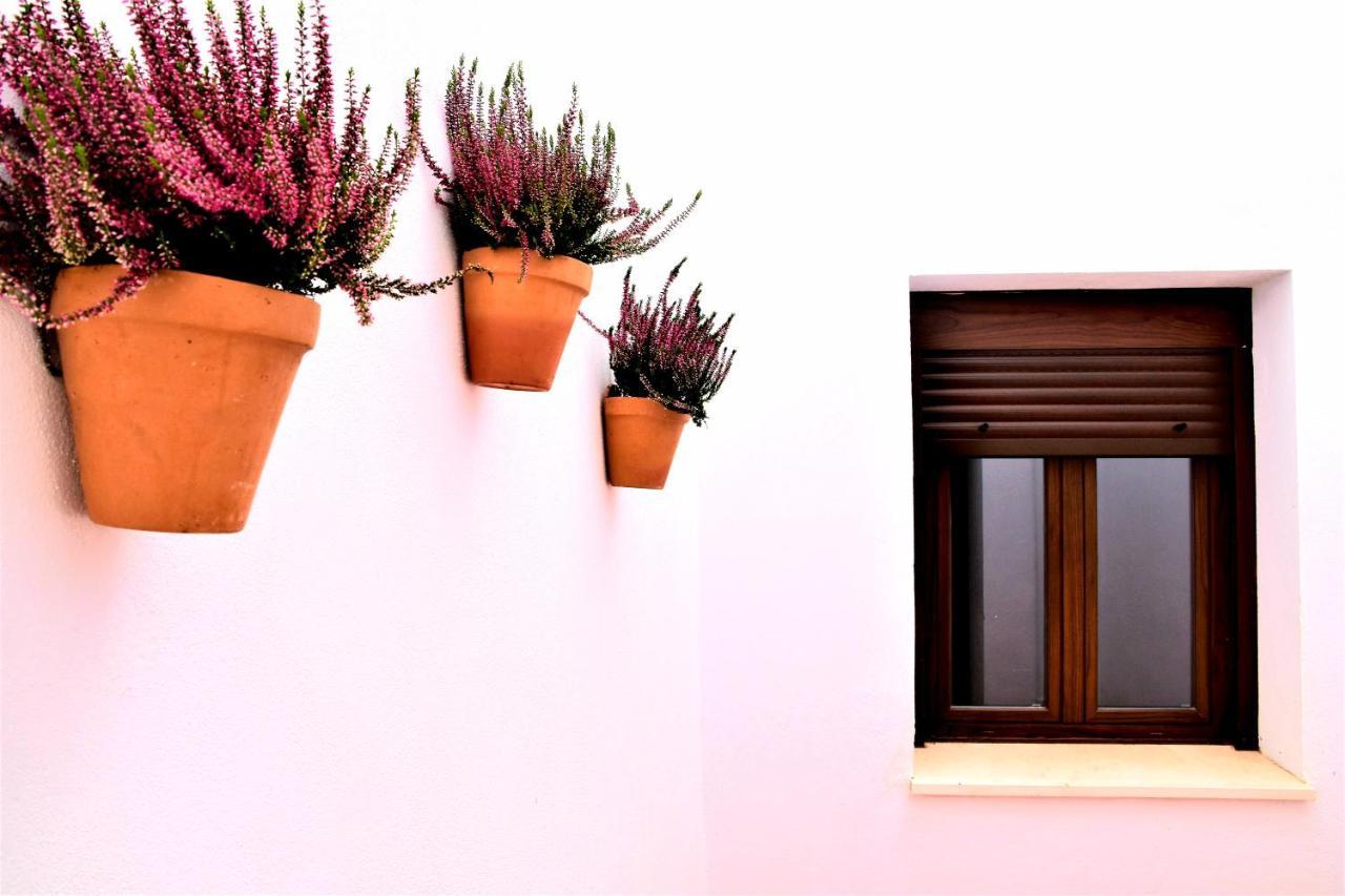 Apartamentos Turisticos Mamelon Jerez de la Frontera Exterior photo